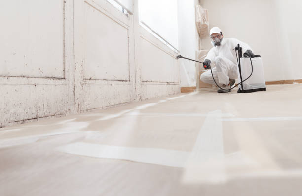 24/7 Emergency Mold Remediation experts in Woodhaven, MI