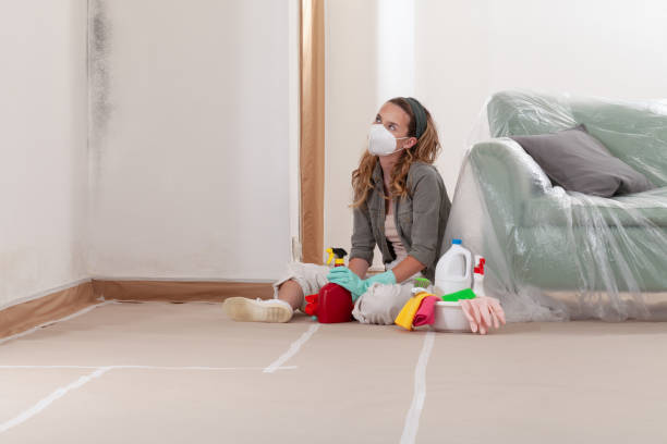 Reliable Mold Remediation contractor in Woodhaven, MI by 24 Hour Mold Removal